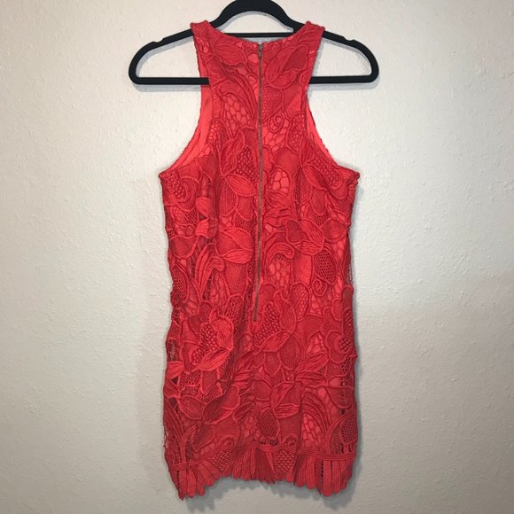 Lovers + Friends Red Valentine Caspian Shift Dress - Picture 9 of 12